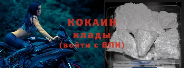сатива Волосово
