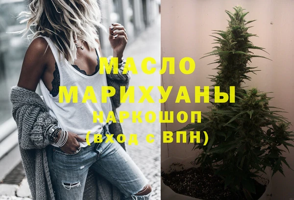 мдпв Володарск