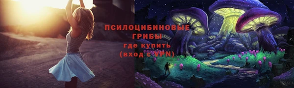 сатива Волосово
